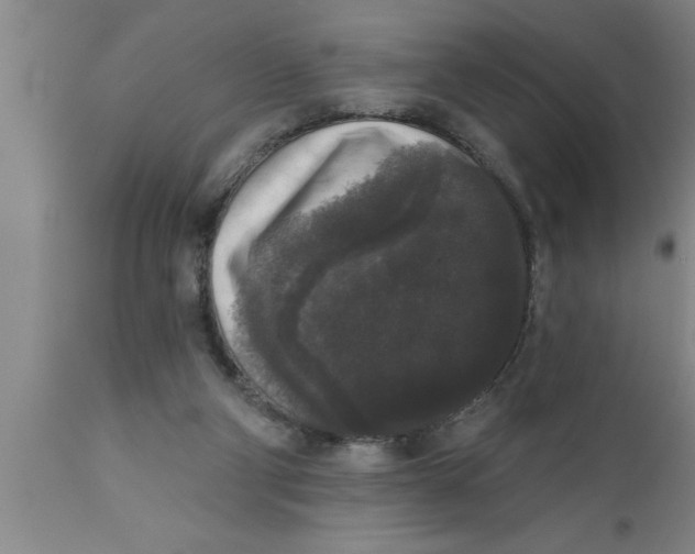 X0000111160114200907211236