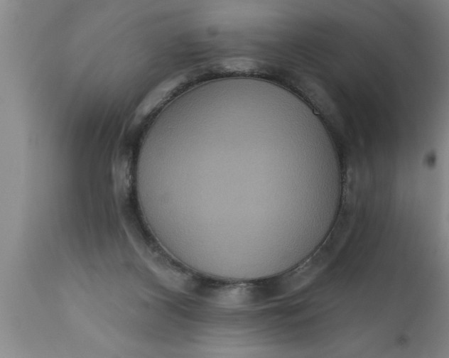 X0000111160116200907211236