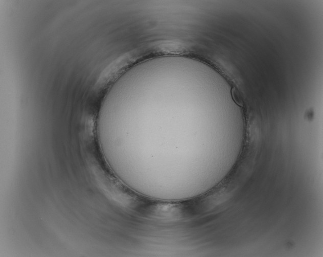 X0000111160117200907211236