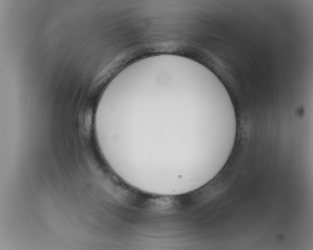 X0000111160118200907211236