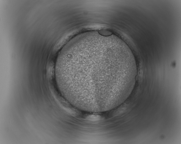 X0000111160119200907211236