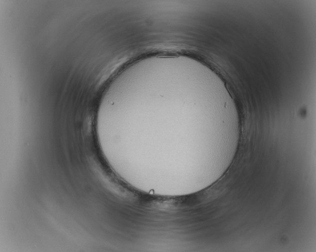 X0000111160120200907211236