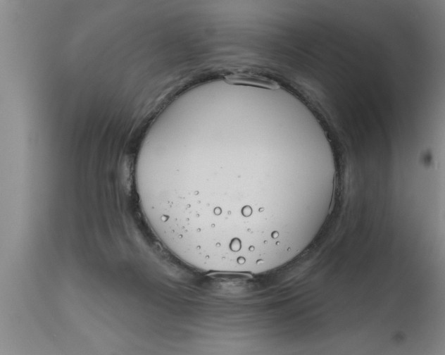 X0000111160121200907211236