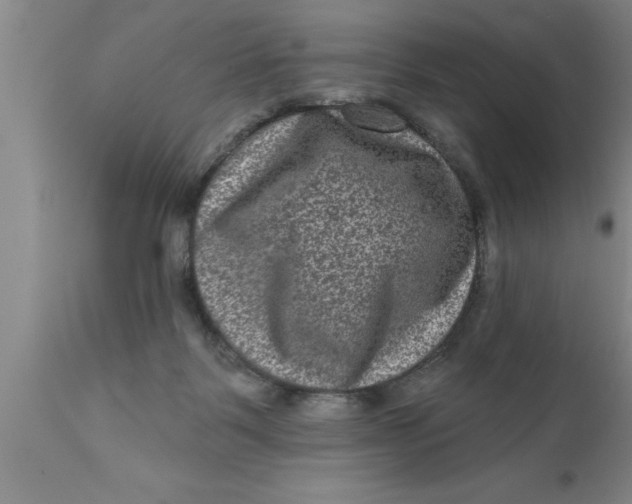 X0000111160123200907211236