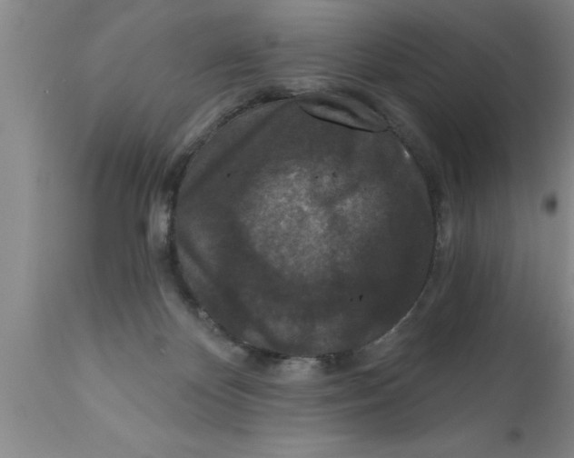 X0000111160124200907211236