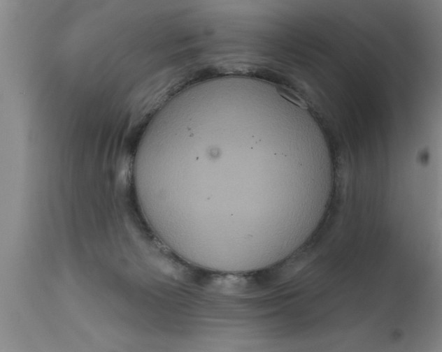 X0000111160125200907211236