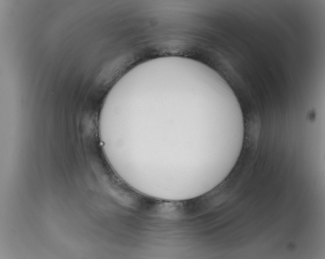 X0000111160126200907211236