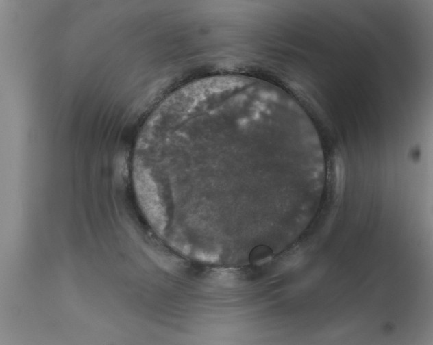 X0000111160127200907211236