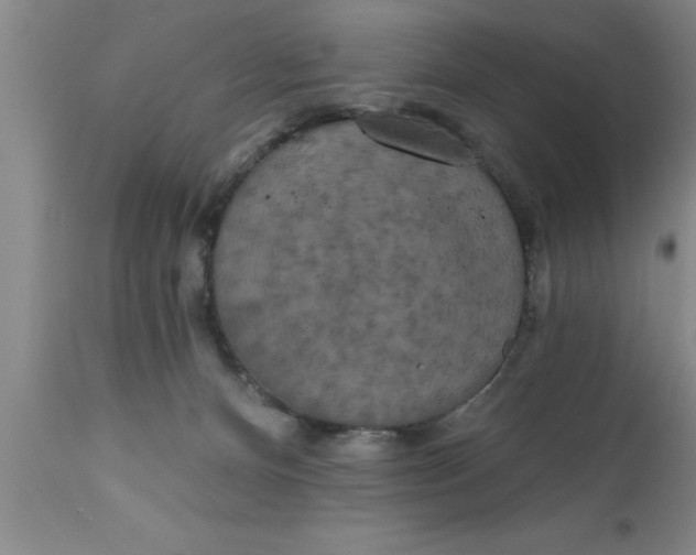 X0000111160128200907211236