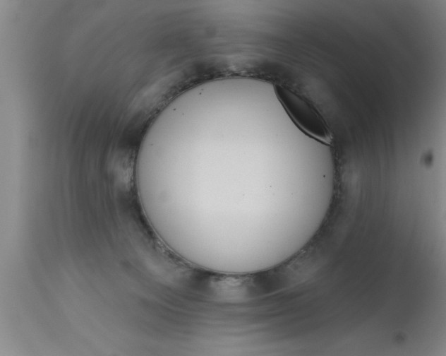 X0000111160129200907211236