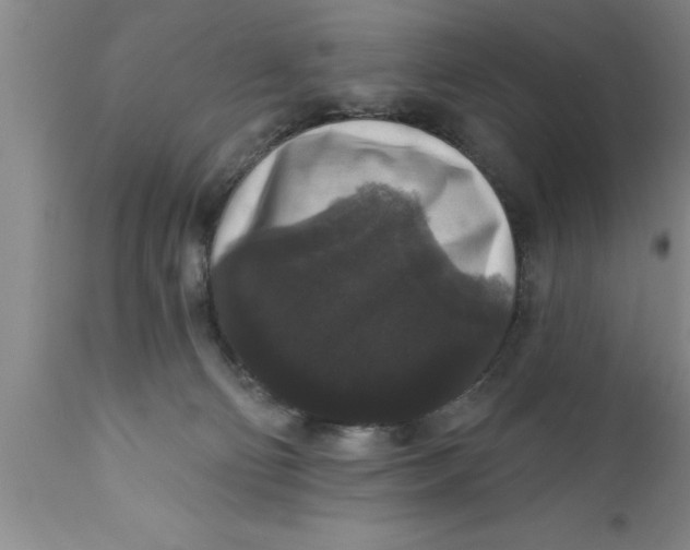 X0000111160130200907211236