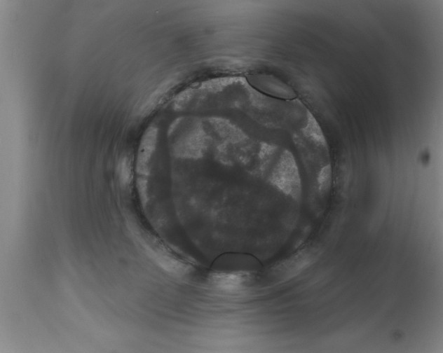 X0000111160131200907211236