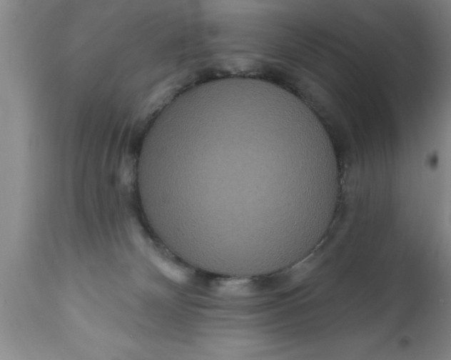 X0000111160132200907211236