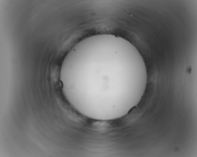 X0000111160133200907211236