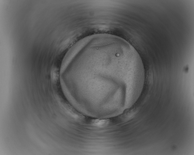 X0000111160135200907211236