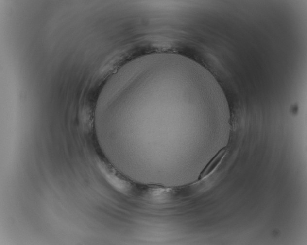 X0000111160136200907211236