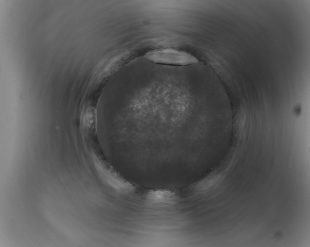 X0000111160137200907211236