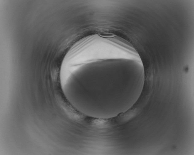 X0000111160139200907211236