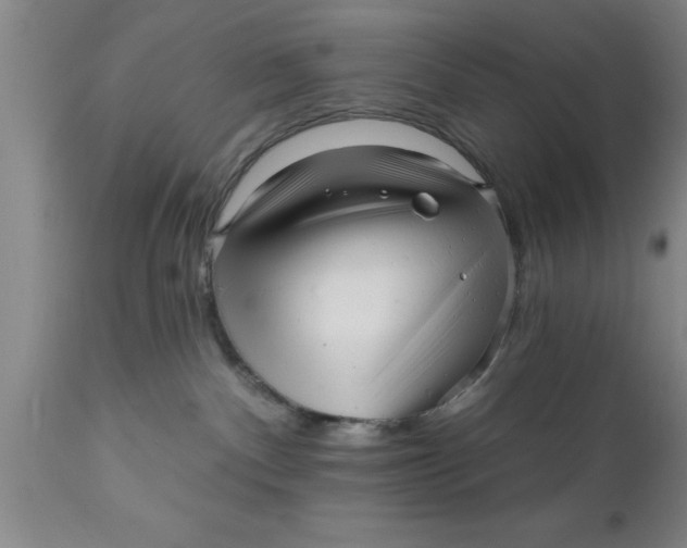 X0000111160140200907211236