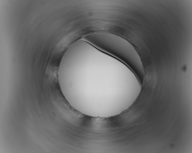 X0000111160141200907211236