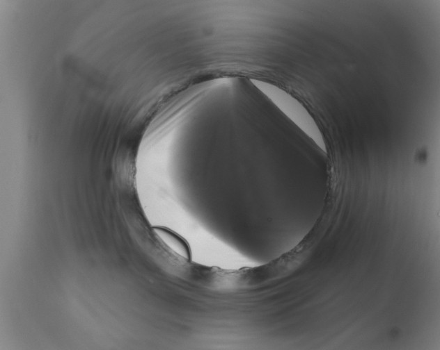 X0000111160143200907211236