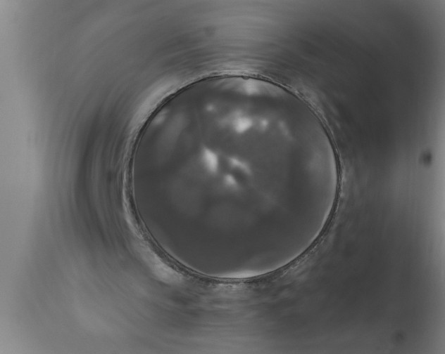 X0000111160145200907211235