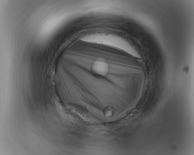 X0000111160146200907211235