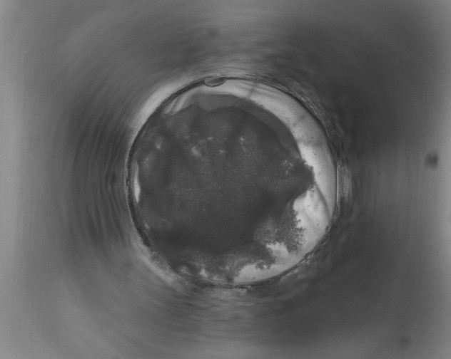 X0000111160147200907211235