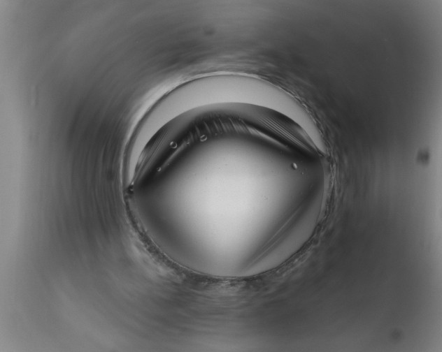 X0000111160148200907211235