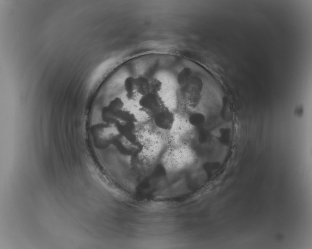 X0000111160149200907211235