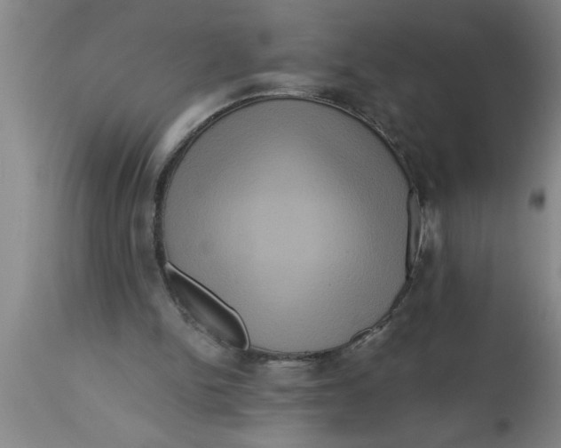 X0000111160150200907211235