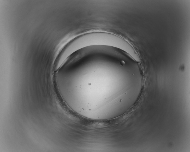 X0000111160152200907211235