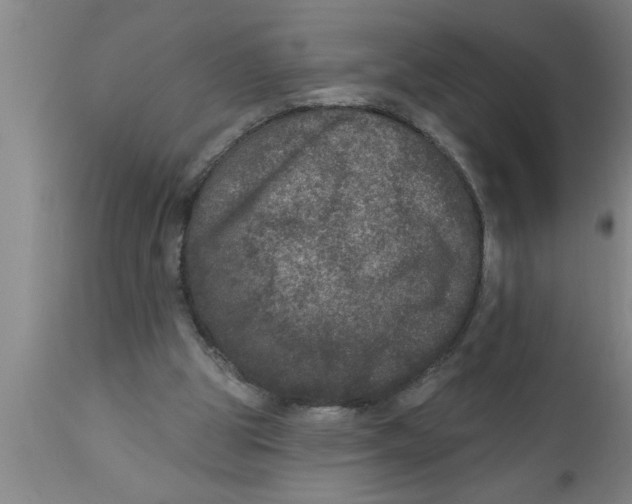 X0000111160153200907211235