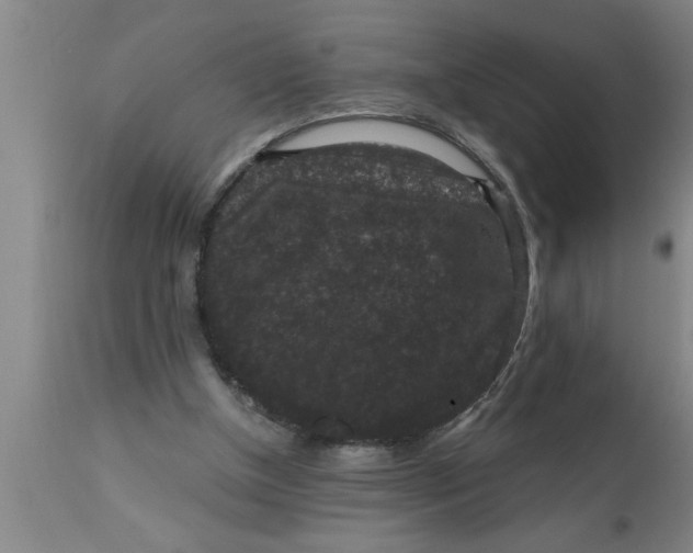 X0000111160154200907211235