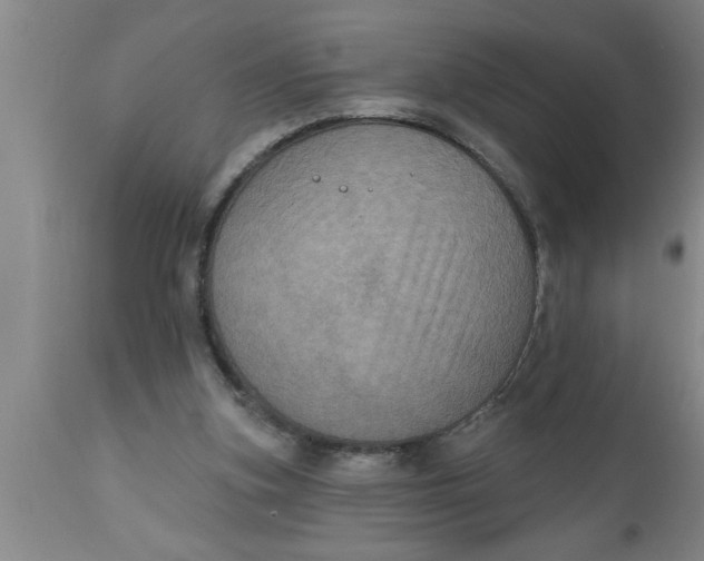 X0000111160155200907211235