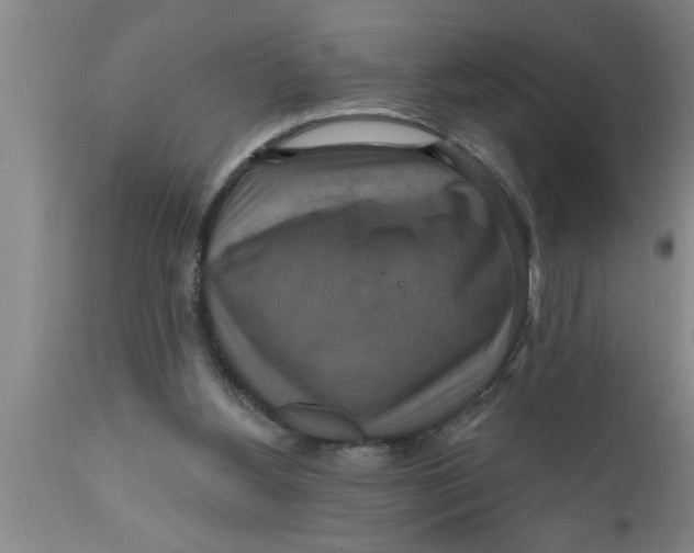 X0000111160156200907211235