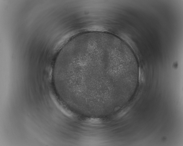 X0000111160157200907211235