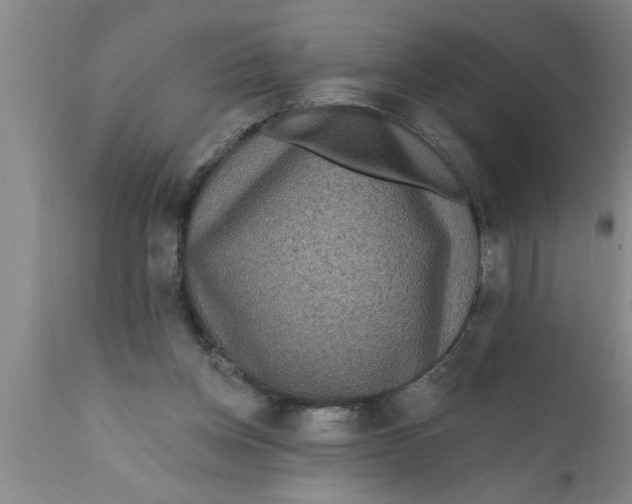 X0000111160158200907211235