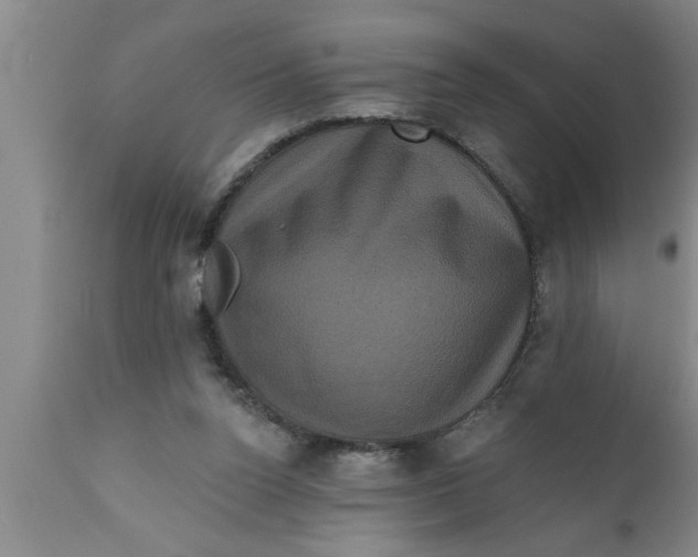 X0000111160160200907211235