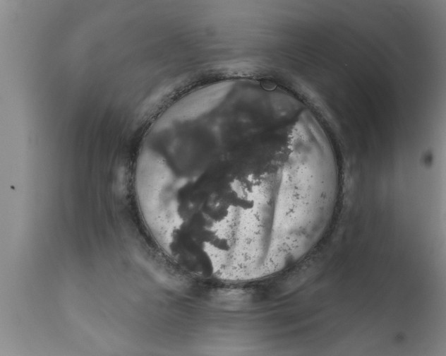 X0000111160161200907211235