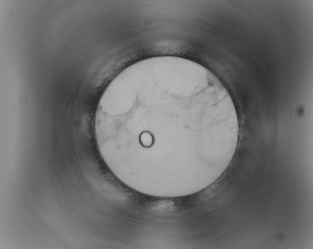 X0000111160162200907211235