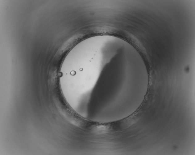 X0000111160163200907211235