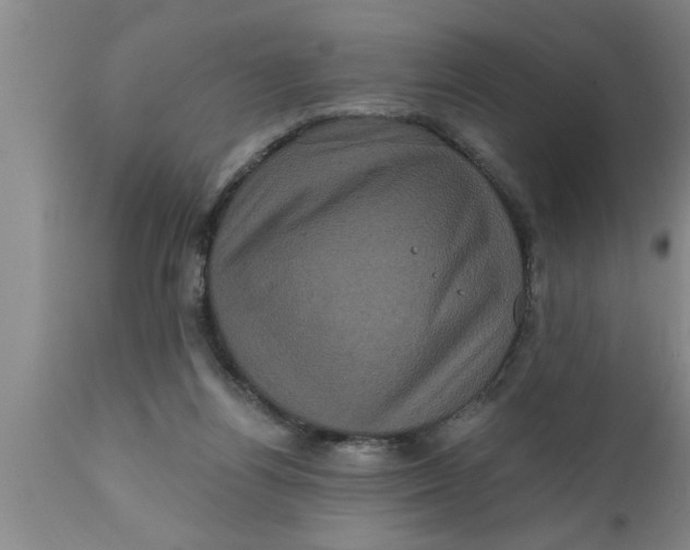 X0000111160164200907211235