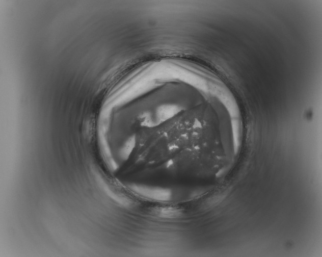 X0000111160165200907211235