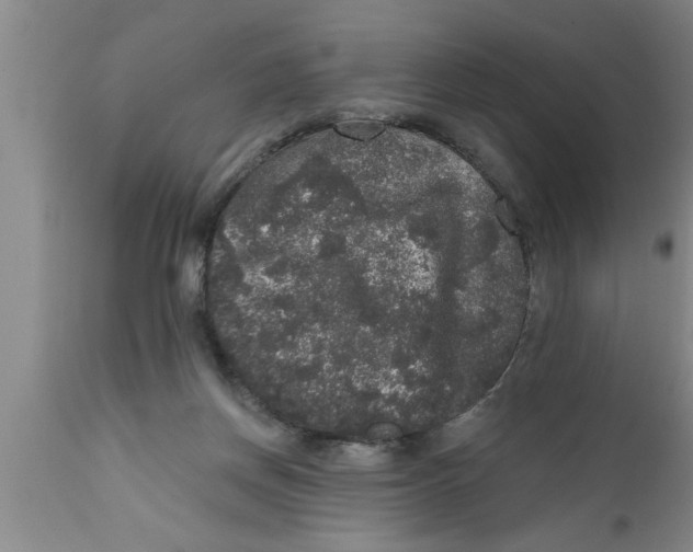 X0000111160166200907211235