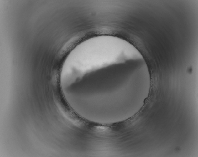 X0000111160167200907211235