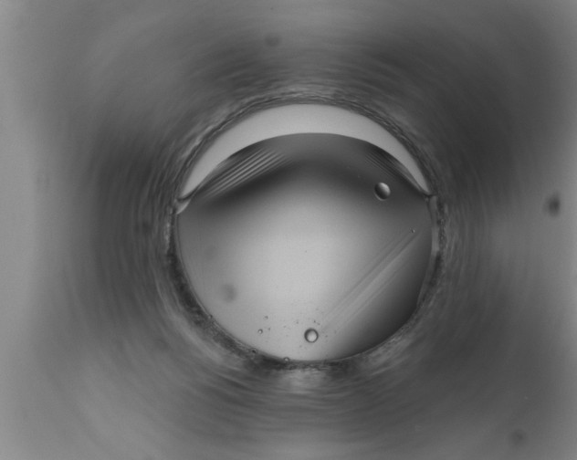 X0000111160168200907211235