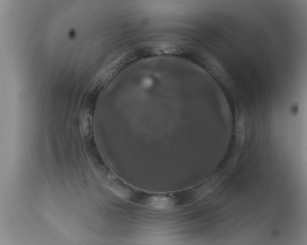 X0000111160169200907211235