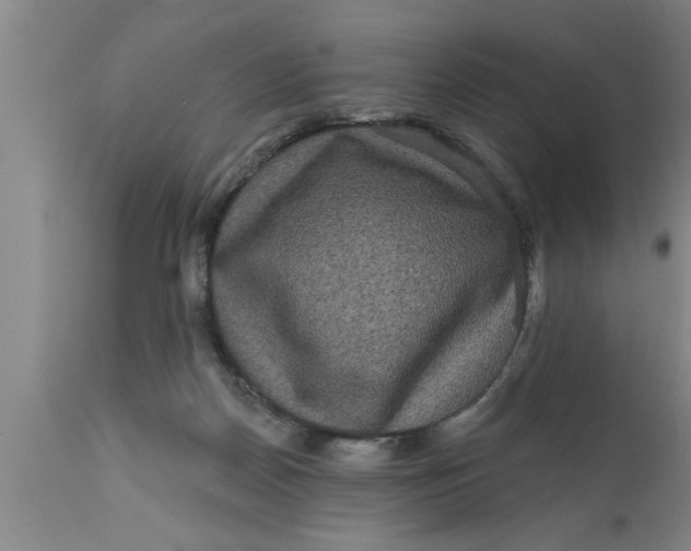 X0000111160170200907211235