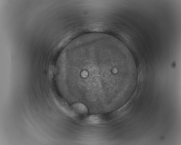 X0000111160171200907211235